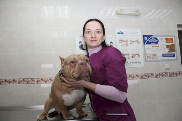 Их лечат, как людей: заведующая Кобринской ветстанцией — о спасении четвероногих и благодарности коллегам